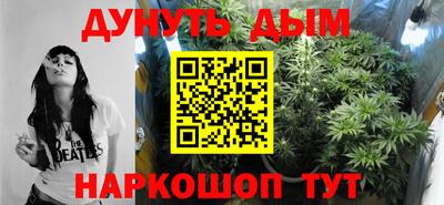 шишки Заводоуковск