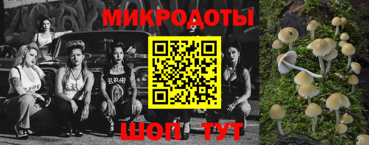 Галлюциногенные грибы Cubensis Ливны
