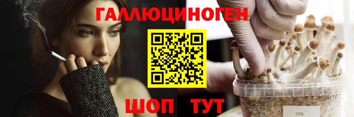 Псилоцибиновые грибы MAGIC MUSHROOMS  Вход с VPN  Галлюциногенные грибы мухоморы  Ливны 